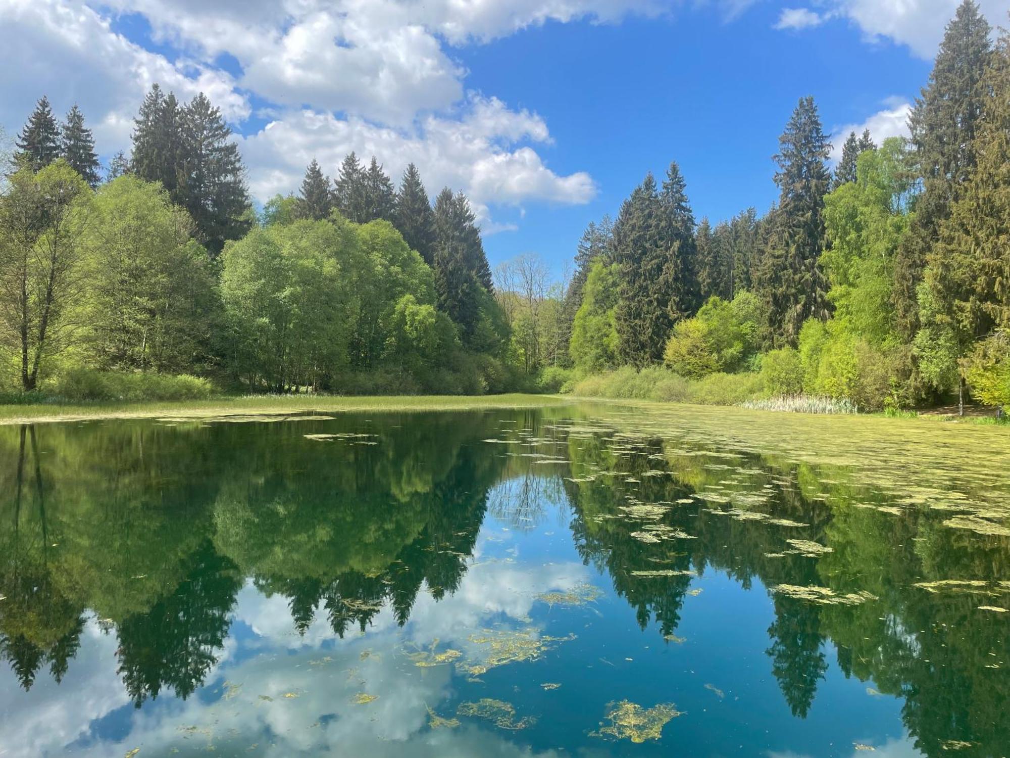 Ferienhaus Ahlborn Uslar Dış mekan fotoğraf